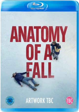 Anatomy of a Fall (2023) Hindi Dubbed