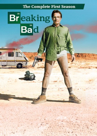 Breaking Bad (Season 1) Hindi Dubbed