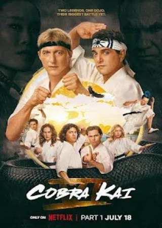 Cobra Kai (Season 6)(2024) Hindi Dubbed Complete Series 