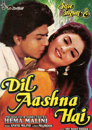 Dil Aashna Hai (1992) Hindi