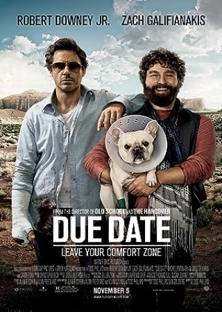 Due Date (2010) Hindi Dubbed