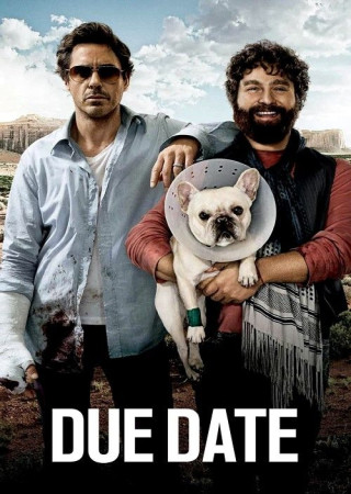 Due Date (2010) Hindi Dubbed