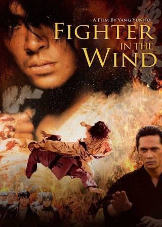 Fighter in the Wind (2004) Hindi Dubbed