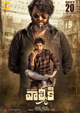 Gaddalakonda Ganesh (2019) Hindi Dubbed