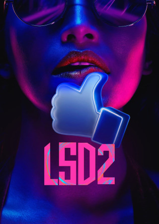 LSD 2: Love Sex aur Dhokha 2 (2024) Hindi