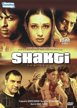 Shakti The Power (2002) Hindi