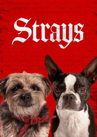 Strays (2023) Hindi Dubbed