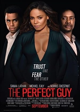 The Perfect Guy (2015) Hindi Dubbed