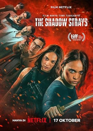 The Shadow Strays (2024) Hindi Dubbed