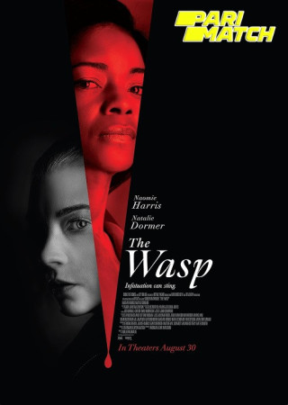 The Wasp (2024) English