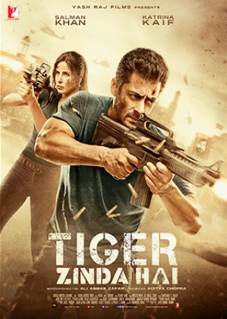 Tiger Zinda Hai (2017)