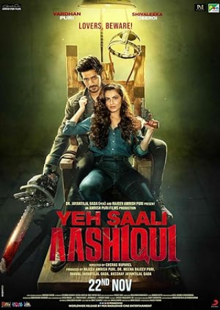 Yeh Saali Aashiqui (2019) Hindi